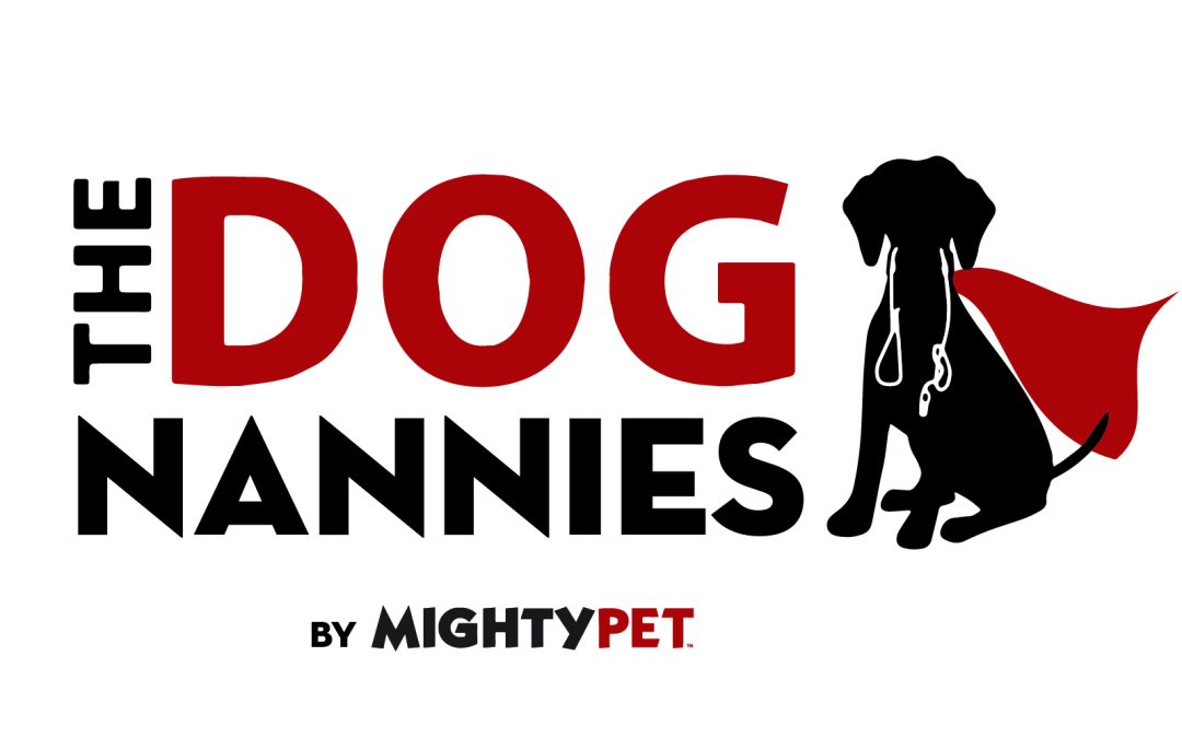 Mighty Pet is Teaming Up With The DOG Nanny!